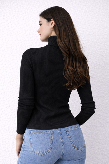 Turtleneck  Bottoming Shirt